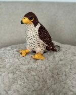 صقر🦅👦🏻✨