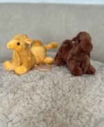 ⁦جمل أصفر🐪⁩ - الصورة ⁦3⁩